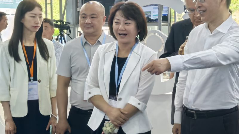 汽车配件型号全平台盘点：揭秘行业秘密，助力精准选购